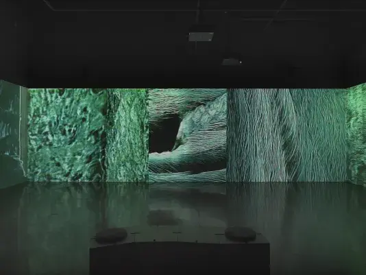 A continuous surface of projected video fills an entire wall, and on either side of‬ ‭the image, starts to wrap around the corners. The images are abstract textures and‬ ‭sinuous lines of blue-green and black, sometimes recalling the surface of a body of‬ ‭water.‬ ‭