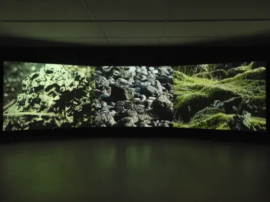 The wall of a dark gallery is illuminated by three video projections. Each shows‬ ‭ the close-up texture of a natural substance: the left shows ice; the middle shows dark‬ ‭ lava rocks; the right shows a lumpy surface of moss.‬