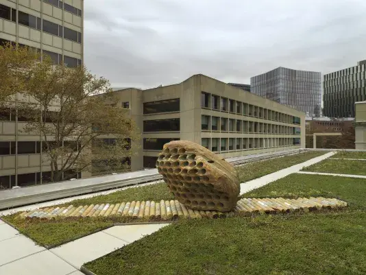 A large rock sculpture rests on a long strip of stone cylinders in a‬ ‭greenspace. The rock has a series of holes removed from its core, with the‬‭ cylinders that were removed making up the strip it rests on. There is a pathway behind the sculpture and building tops surrounding the open space.