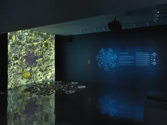 A dark gallery space bathed in blue light. On the left, a large screen displays‬ ‭ a six-sided star at its center, with video footage of stars and the night sky projected‬ ‭ within it. Surrounding the star, six inward-facing triangles form a pattern. Beyond‬ ‭ them, green stones appear to be submerged underwater. In front of the screen, a‬ ‭ formation of stones rests on the reflective black floor. On the right wall, glowing blue‬ ‭geometric forms and wall text are visible.‬ 