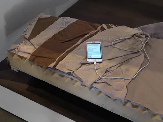 An iPhone that is charging through a white cable displays poetry on the screen. A section of a foam mattress with a tan and brown blanket is on top of a wooden floor and below the phone.