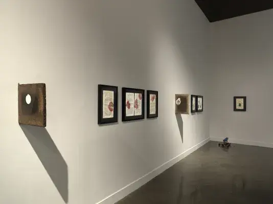 A series of black framed pages of text with colorful botanical ink blots hang in a row on white walls in a dimly lit gallery. A small lego robot sits on the floor in the corner of the space.