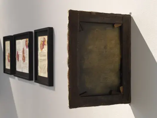 A series of black framed pages of text with colorful botanical ink blots hang in a row on white walls in a dimly lit gallery. On the right side of the frame, the artwork closest to the viewer hangs perpendicular to the wall with the front of the canvas facing away.