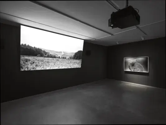 A dimly lit gallery features two artworks on display. On the left, a black-and-white landscape is projected onto a screen. On the right, a black-and-white photograph of an abstracted metal structure hangs on the wall.