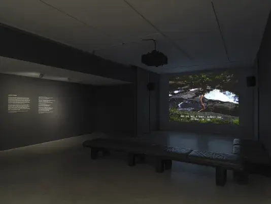 A film—showing a child on some rocks near a rushing waterfall—is projected in a dark gallery that also contains soft benches in an L shape and vinyl wall text.
