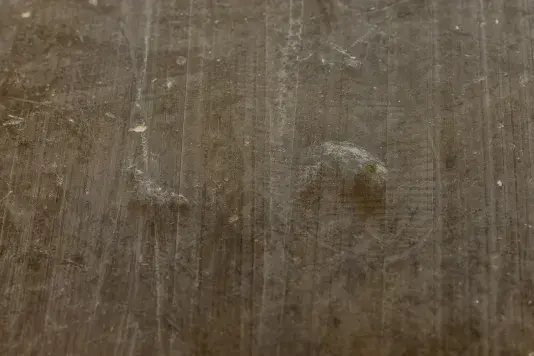 A close-up of a dark floor with various light marks and striations. A large dust bunny sits atop a footprint.