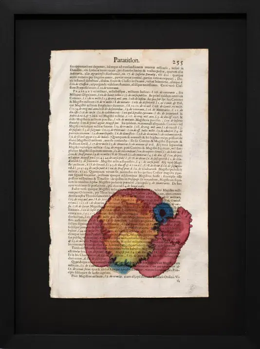 Framed page from an old Latin text titled “Paratitlon.” with page number 255, overlaid near the bottom with a colorful abstract circular ink or paint design in red, blue, yellow, and green.