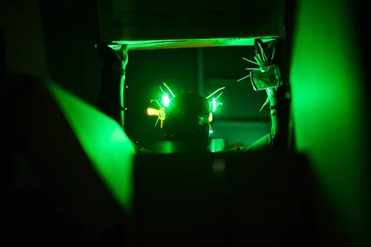 A person's head, wearing a dark helmet with bright green spiky lights, is illuminated by green light within a dark space. The person holds up a box while surrounded by other cardboard boxes.