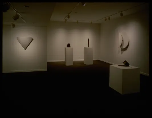 Form studies are both hanging on the walls and displayed on pedestals. Each study has its own unique shape and form.
