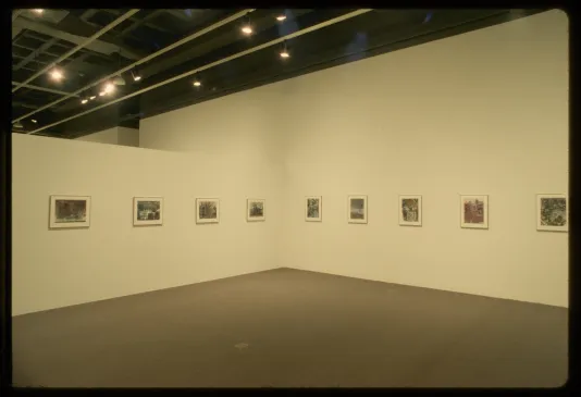 Nine small framed photographs hang in the middle of two adjacent gallery walls.