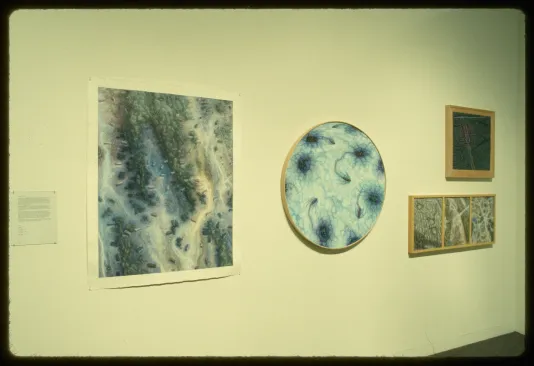 Works that represent microscopic images as if looking at cells when really they show arial views of indusrtial sites.