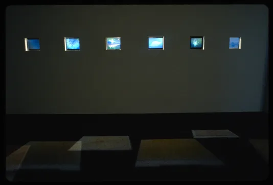 Six small holographic screens shine in the dark gallery, projecting images onto the floor below. 