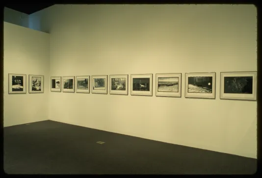 Black and white photographs are hung in a row along the wall. Each depicts a different landscape image. 