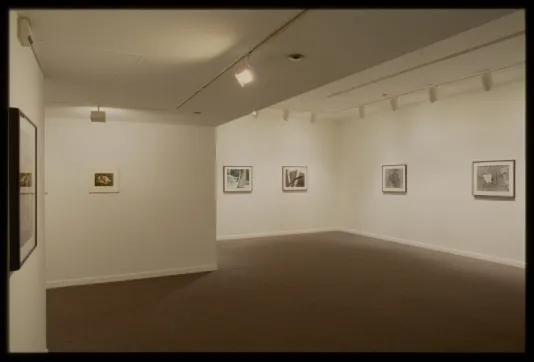 Six small framed photos of objects from nature with abstract backgrounds hang evenly spaced along adjacent gallery walls. 