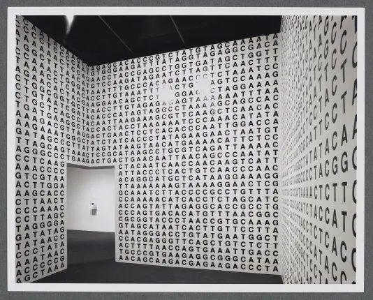 A room within the gallery where the walls are covered from floor to ceiling with letters meant to create a genetic code. 