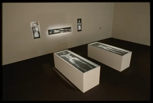Two white boxes with medical style images of nude body inside sit in front of three black and white nude images hung on wall.