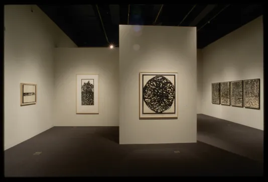 Seven woodblock prints of varying sizes of abstract nature images hang on various gallery walls.