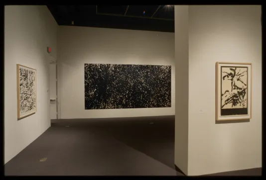 Two woodblock prints of nature hang on different walls, large print of black ink with scattered white spots hangs on far wall.