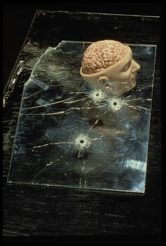 Top view of glass pane with three bullet holes, resting on anatomical model of human brain, sitting on scratched metal table.