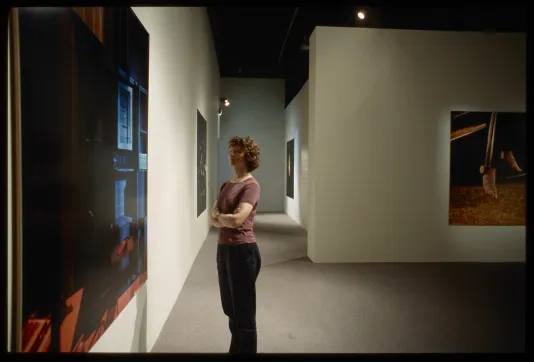 Viewer looking at gallery wall with large image.