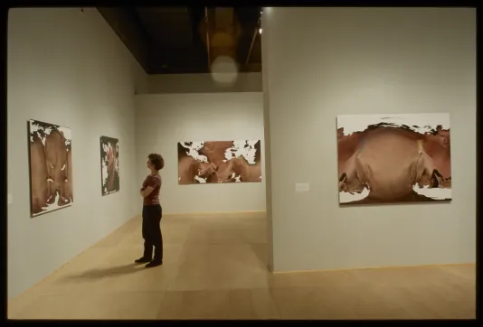 Woman looking at large works in gallery.