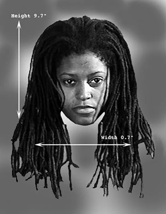 A disembodied head of a black woman with long braids, along with height and width measurements, faces the viewer.