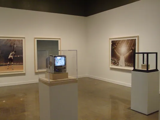 2 vitrines, with objects within, stand in front of 3 large images, framed on the walls behind