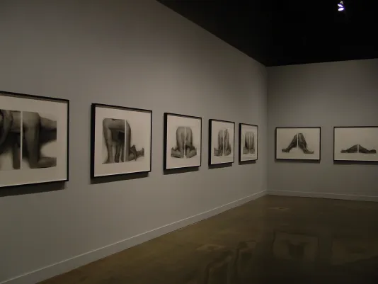 A series of framed black and white photographs hung equally spaced and at the same height along two gallery walls.