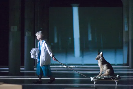A woman in a white coat walks a dog.