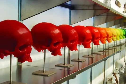 A long diagonal row of red, orange, yellow, and green skull sculptures standing in a horizontal line across a metal shelf