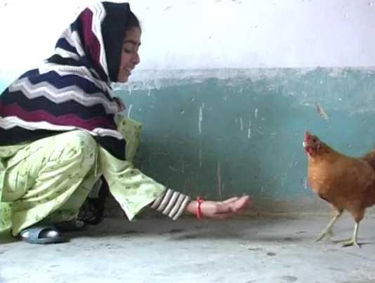 Her head and shoulders covered by a shawl, a girl squats down and makes an offering to a chicken with her outstretched hand.