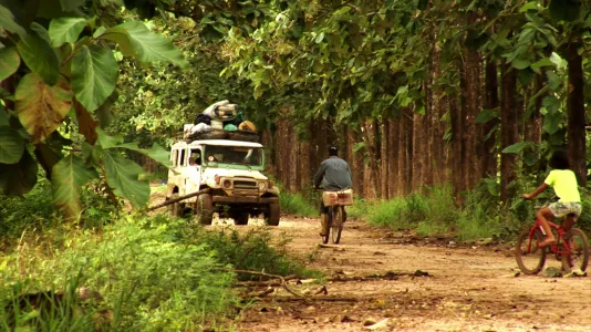 A pack-laden offroad vehicle shares an unpaved road with two bicyclists in a densely wooded tropical area.