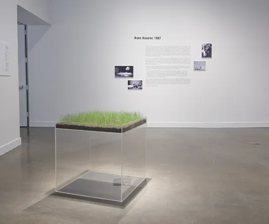 A large clear plexiglass cube with a recessed top holding about an inch of dirt from which real grass grows.