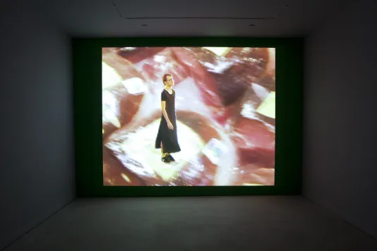 A person in a black dress over a blurred image of plastic wrapped meat is projected on a wall in a dark room.