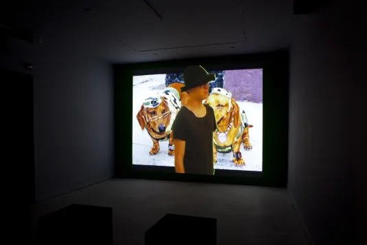 A scene of a person layered on an image of 2 accessorized dachshunds wearing glasses, is projected on a wall in a dark room.