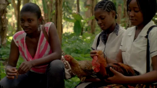 A close view of 3 young women crouching in a tropical forest, 2 looking down at the brown chickens they hold on their laps.