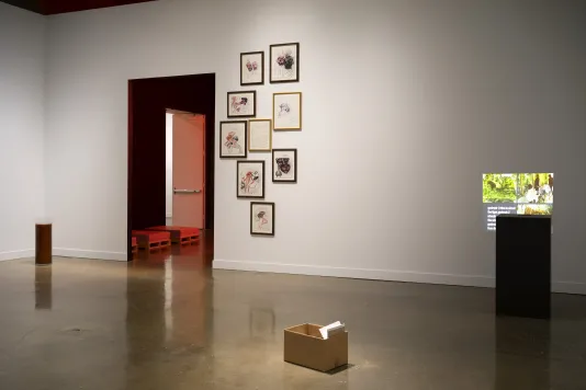 9 framed drawings next to a video projection on a wall, a cardboard box and glass cylinder with red liquid sit on the floor.