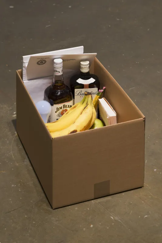 2 bottles of liquor, bananas, a lightbulb, pencils, papers and a book fill a cardboard box which sits on the gallery floor.