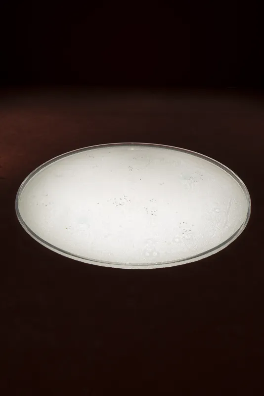 A large, shallow concave disc, similar in shape to a contact lens, is embedded in a dark floor and filled with a white substance.