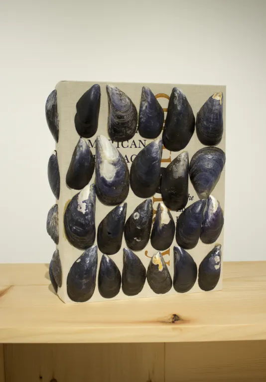 A beige hard cover book is covered with mussel shells.