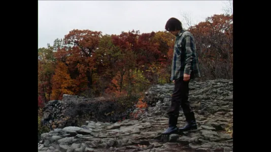 A man in a plaid shirt stands on an elevated, rocky outcrop. The tops of trees in fall foliage are in the background.