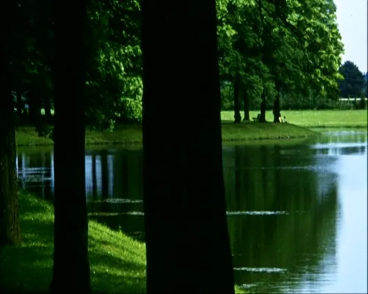Green grass and trees surround the undulating edge of a blue pond, the trunk of a foreground tree splits the scene in half.