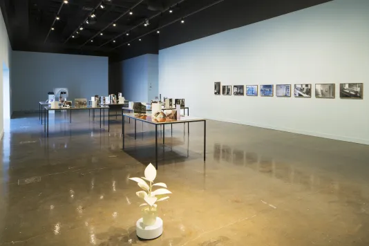 Installation view of a large gallery with a plant sculpture, several tables, and a row of 9 framed photographs on the wall