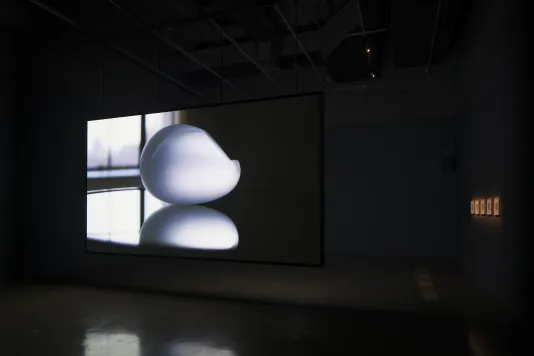 A silver gray oval shaped sculpture with reflection is projected on a screen, 5 illuminated artworks on the right.