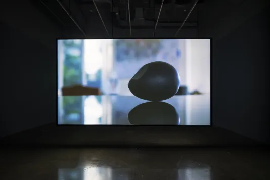 Video of black ovoid & its reflection, with blurry blue cast background projected on screen in dark room.