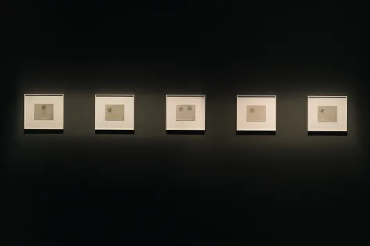 Five framed gray prints hanging evenly spaced on a dark wall illuminated from above.