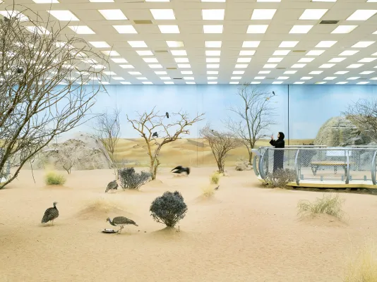 Behind a fence, a woman in hajib views birds in a man-made desert landscape under a dropped ceiling with fluorescent lights.