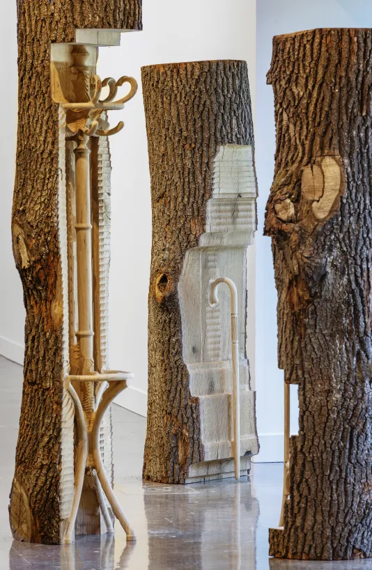 Detail view of trees with hollowed trunks with a stool and coat rack carved into them. 