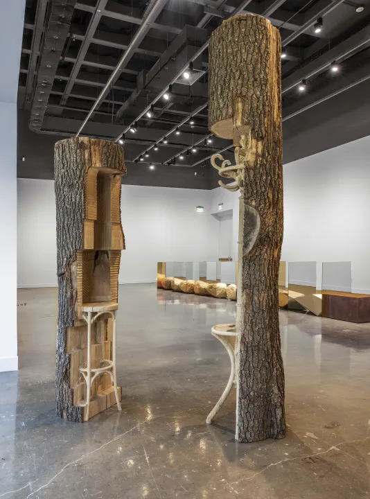 Installation view of trees with hollowed trunks with a stool and coat rack carved into them. In the background is the rest of the installation. 