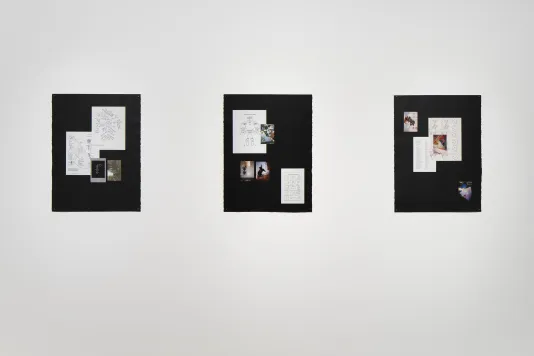 Mounted on white wall, 3 paper works with assemblages of color photos and black-and-white diagrams, text, drawings on black